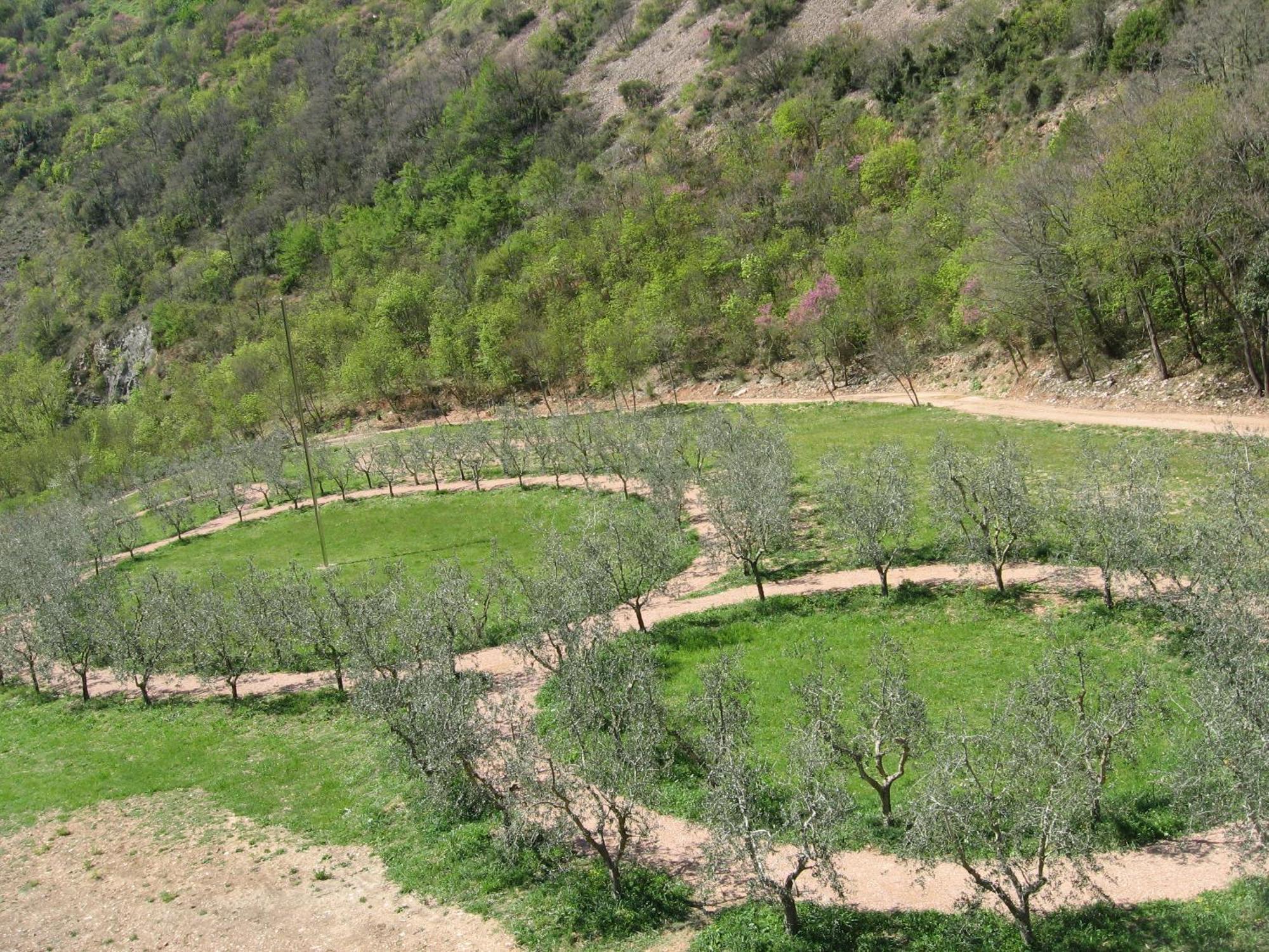 Campiglione Assisi